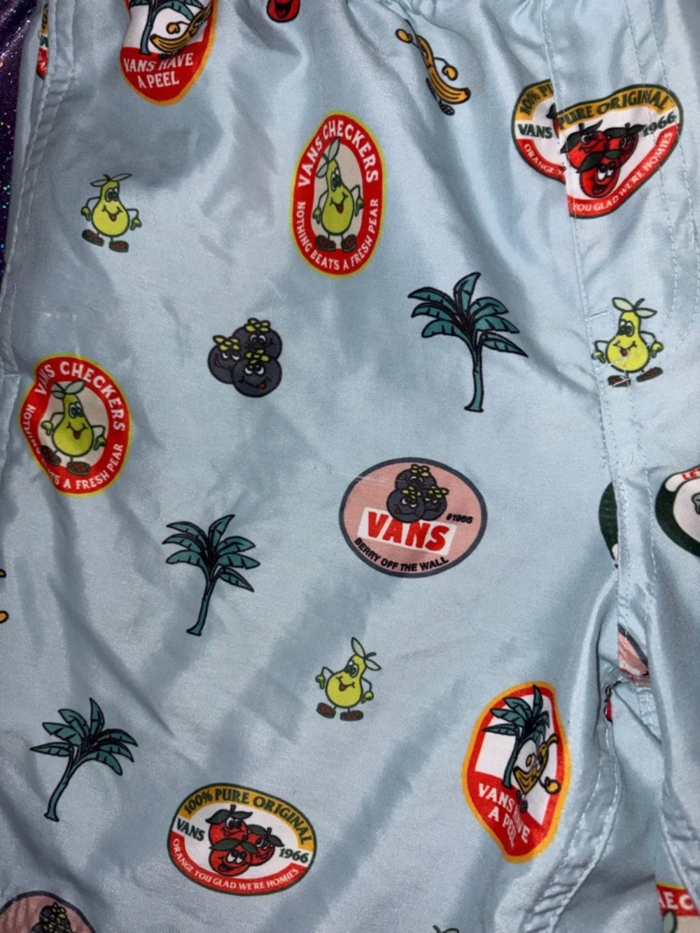 Boys Vans Primary Fruit Board Shorts